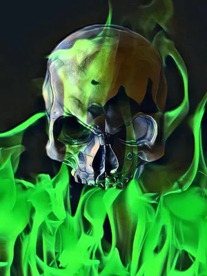 Green Fire Skull Trail Artwork Wallpaper