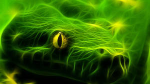 Green Flashy Snake Wallpaper