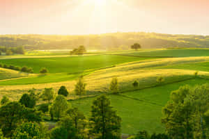 Green Grass Countryside In Bangalore Wallpaper