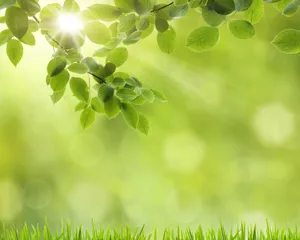 Green Ipad [wallpaper] Wallpaper