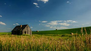 Green Meadows In Idaho Wallpaper