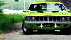 Green Muscle Nice Car Wallpaper