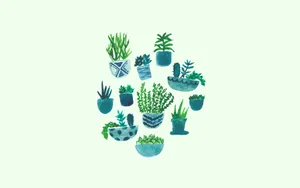 Green Potted Plants Illustration Wallpaper