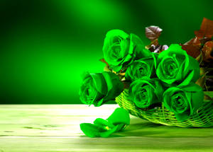 Green Roses Basket Wallpaper