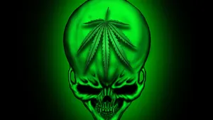 Green Skull Wallpaper Hd Wallpaper