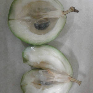 Green Star Apple Facing West Wallpaper