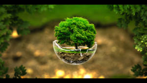 Green Tree Glass Wallpaper