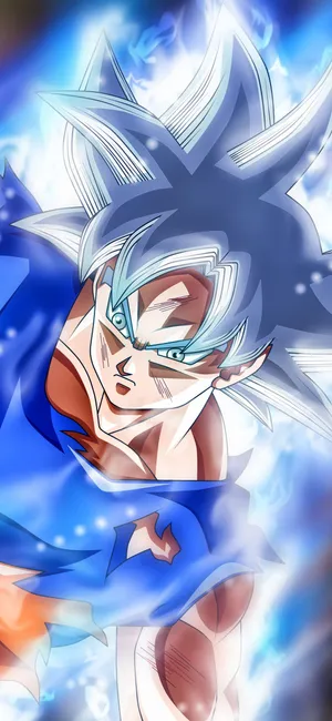 Grey Haired Saiyan Son Goku Iphone Wallpaper