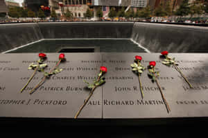 Ground Zero Memorial Roses Wallpaper
