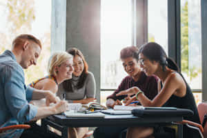 Group Of Young People Studying Wallpaper