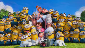 Gru Lucy Wedding Despicable Me 2 Wallpaper