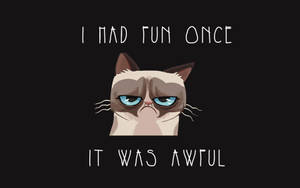 Grumpy Awful Fun Funny Meme Wallpaper