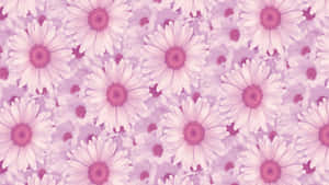 Grunge Pink Aesthetic Laptop Daisy Flower Wallpaper