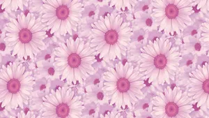 Grunge Pink Aesthetic Laptop Daisy Flower Wallpaper