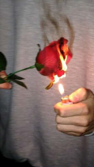 Grunge Tumblr Aesthetic Burning Rose Wallpaper