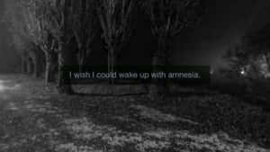 Grunge Tumblr Aesthetic Quotes Wallpaper