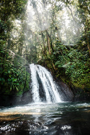 Guadeloupe Cascade Aux Ecrevisses Wallpaper