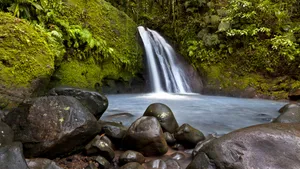 Guadeloupe Cascading Waterfalls Wallpaper