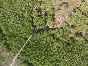 Guadeloupe Forest Aerial View Wallpaper