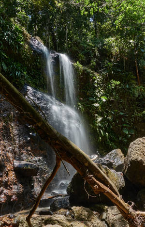 Guadeloupe Saut Des Trois Cornes Wallpaper