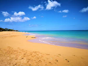 Guadeloupe White Sand Beach Wallpaper