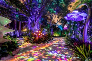 Guangzhou Chimelong Wildlife Wallpaper