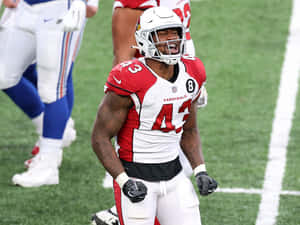 Haason Reddick National Football League Wallpaper