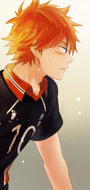 Haikyuu Iphone Shoyo Hinata Dutch Angle Wallpaper