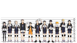 Haikyuu Teams Mugshot Wallpaper