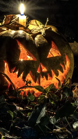 Halloween Pumpkin Candlelight Glow Wallpaper