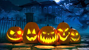 Halloween Pumpkin Lined Up Wallpaper