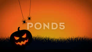 Halloween Pumpkin With Spiders And Webs On The Grass Wallpaper