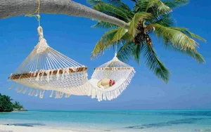 Hammock Summer Desktop Wallpaper