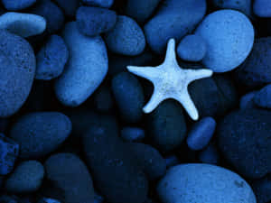 Handful Of Bright Blue Objects Wallpaper