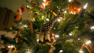 Hanged Giraffe Stuffed Toy Wallpaper