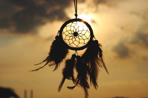 Hanging Dreamcatcher Silhouette Wallpaper