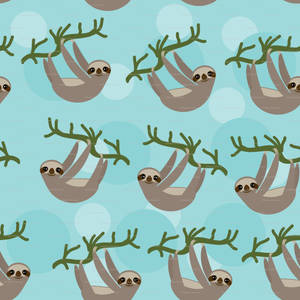 Hanging Sloth Cartoon Wallpaper