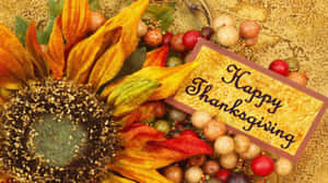 Happy Thanksgiving Greeting With Sunflower Wallpaper