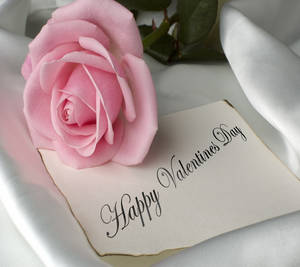 Happy Valentine’s Day Pink Rose Wallpaper