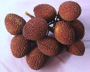 Harvested Ripe Pulasan Wallpaper