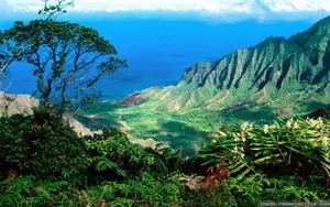 Hawaii Nāpali Coast State Park Wallpaper