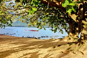 Hawaii Puu Poa Beach Wallpaper