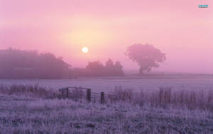 Hazy Wintertime In The Norfolk Broads, England Wallpaper