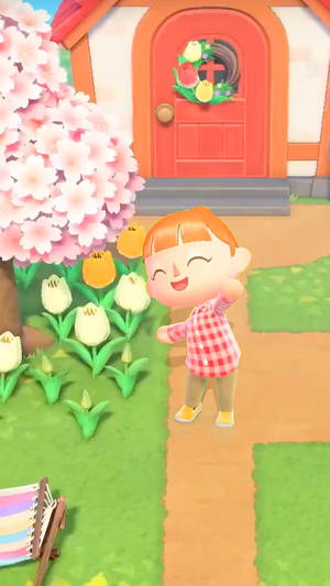 Hd Animal Crossing Female Villager Wallpaper