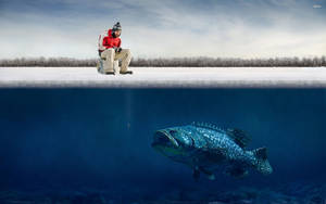 Hd Fish Grouper Below Ice Wallpaper