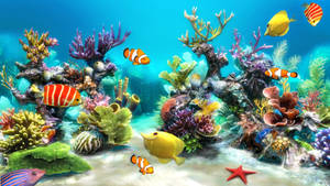 Hd Fishes In Colorful Corals Wallpaper