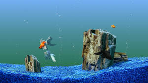 Hd Fishes In With Aquarium Rocks And Bubbles Wallpaper