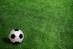 Hd Football Grass Field Wallpaper