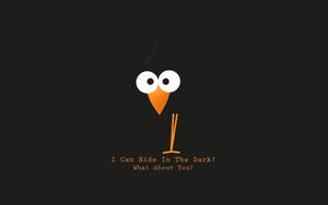 Hd Funny Black Bird Wallpaper