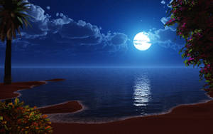 Hd Moon Above The Shore Wallpaper